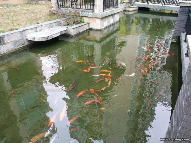 城中贺江花园,帝景湾靓房出售,送凉亭,送鱼池